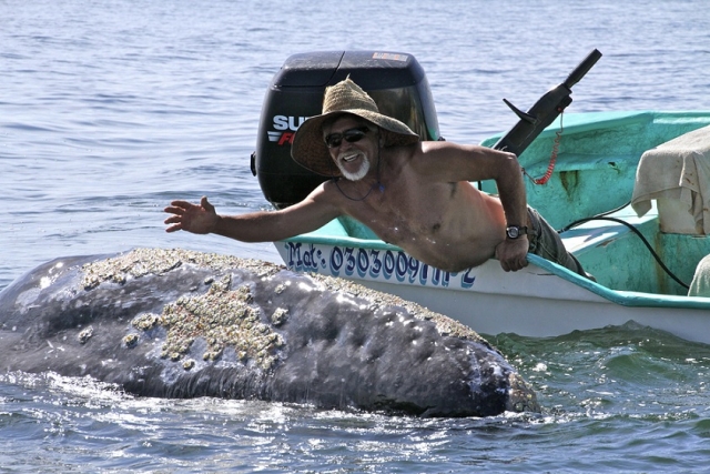 Aventura con ballenas